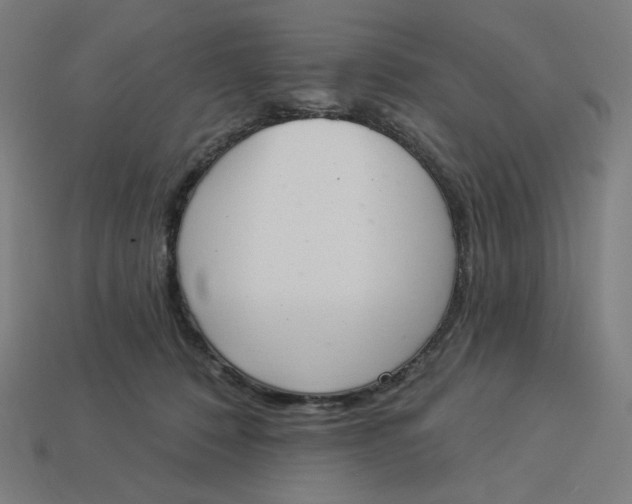 X0000113360320200910061045