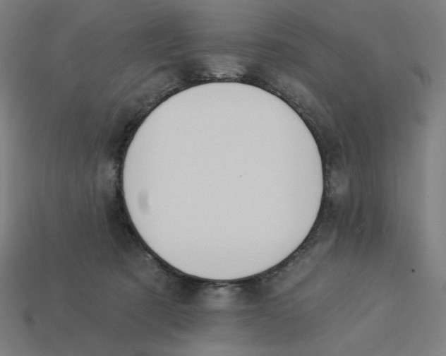 X0000113360321200910061045