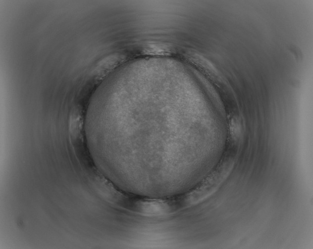 X0000113360322200910061045