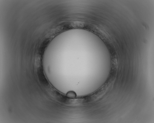 X0000113360323200910061045