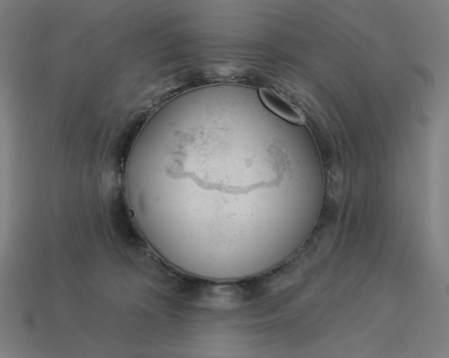 X0000113360324200910061045