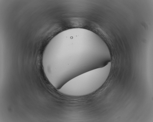 X0000113360325200910061045