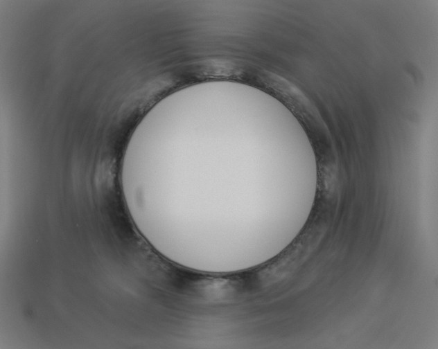 X0000113360326200910061045