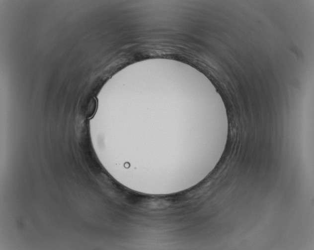 X0000113360327200910061045