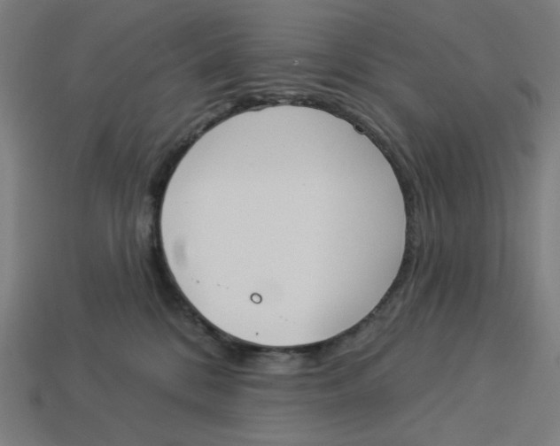 X0000113360328200910061045