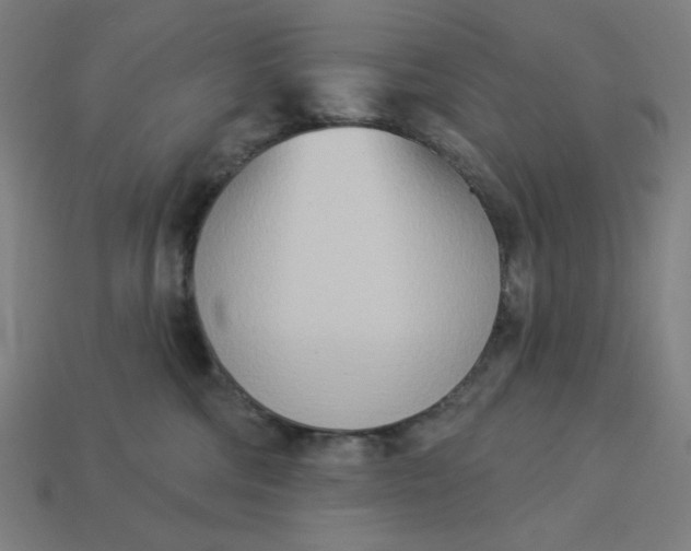 X0000113360330200910061045