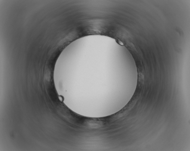 X0000113360331200910061045