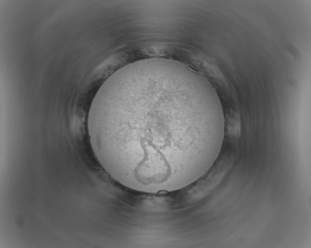 X0000113360332200910061045