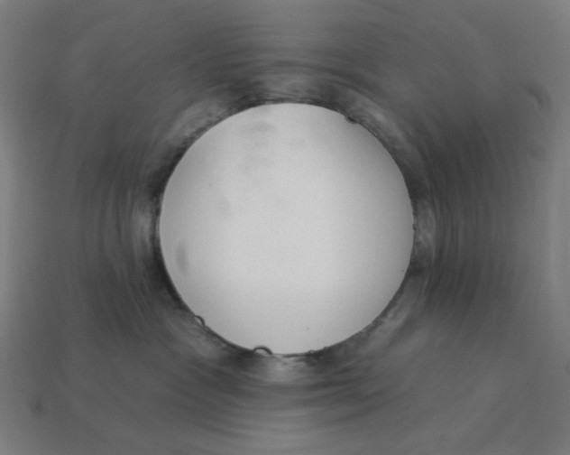 X0000113360333200910061045