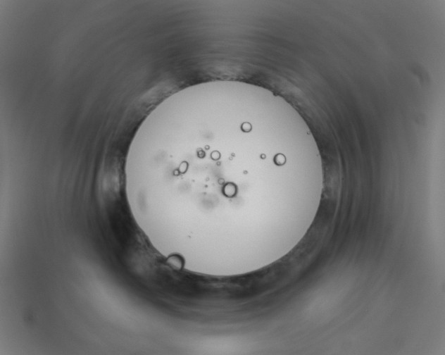 X0000113360334200910061045