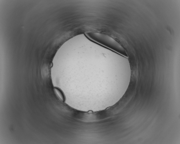 X0000113360335200910061045