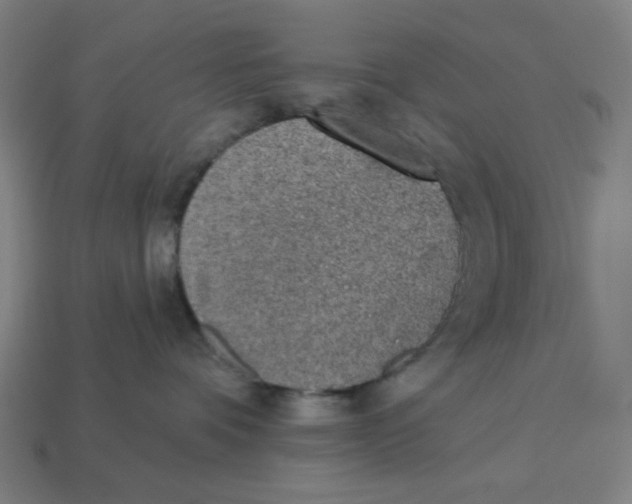 X0000113360336200910061045