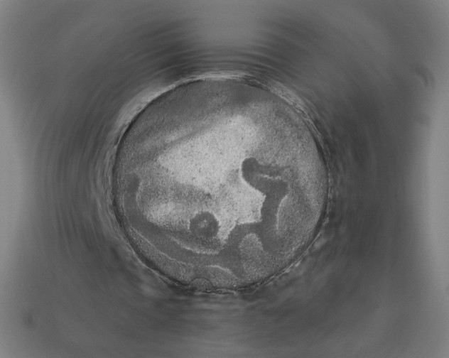 X0000113360337200910061044