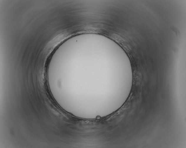 X0000113360338200910061044