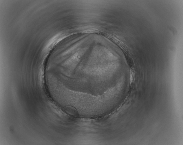 X0000113360339200910061044