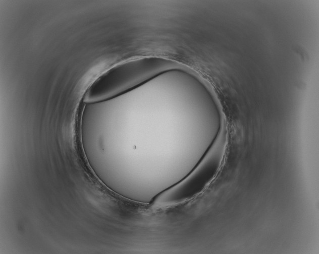 X0000113360340200910061044