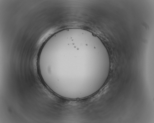 X0000113360341200910061044