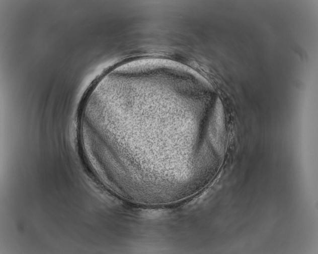 X0000113360342200910061044