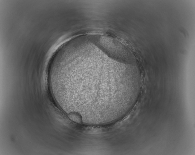 X0000113360343200910061044