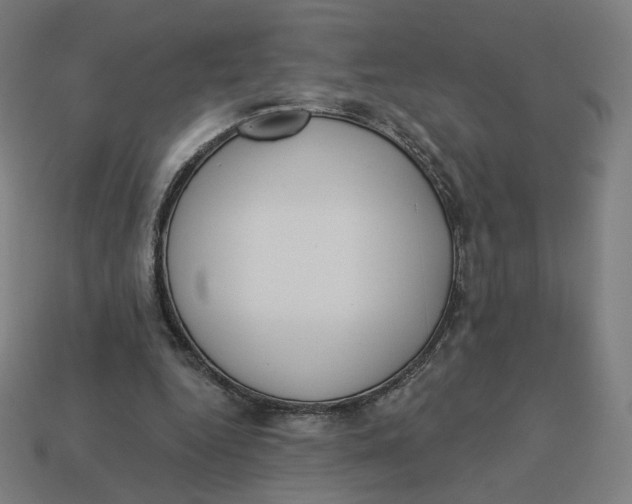 X0000113360344200910061044