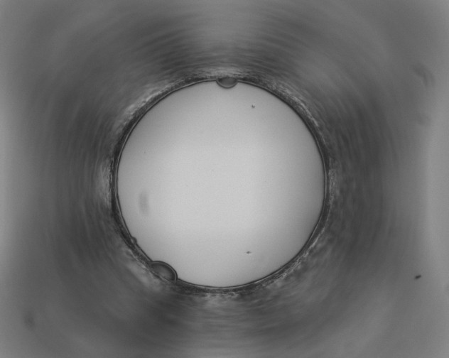 X0000113360345200910061044