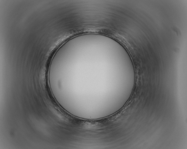 X0000113360346200910061044