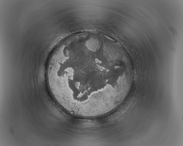 X0000113360347200910061044