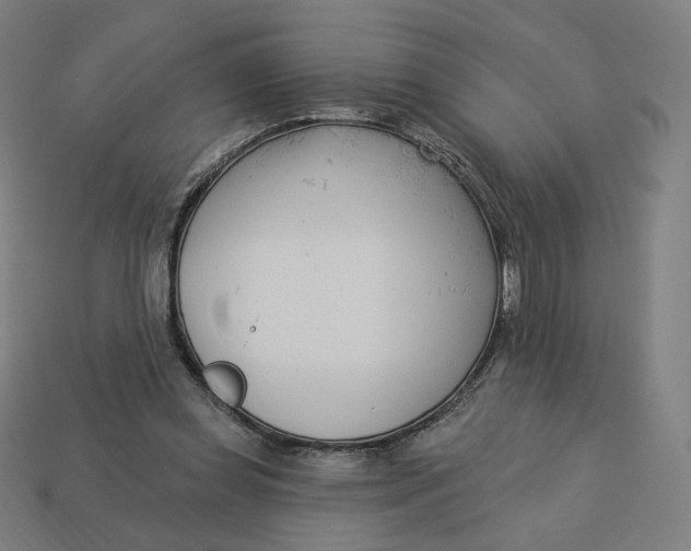 X0000113360349200910061044