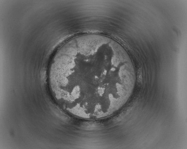 X0000113360351200910061044