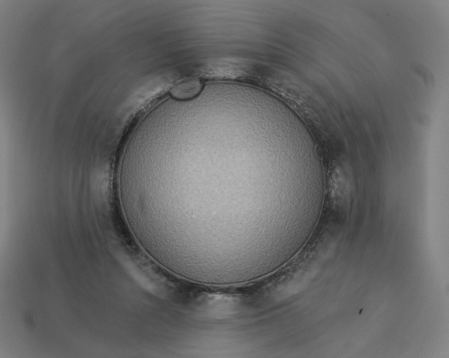 X0000113360352200910061045