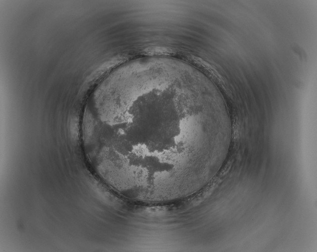 X0000113360353200910061045