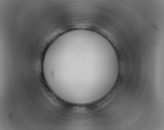 X0000113360354200910061045