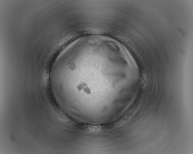 X0000113360355200910061045