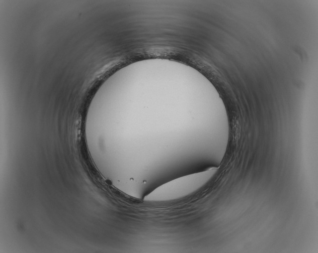 X0000113360356200910061045