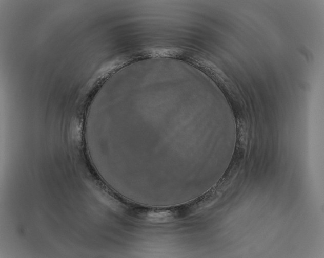 X0000113360357200910061045