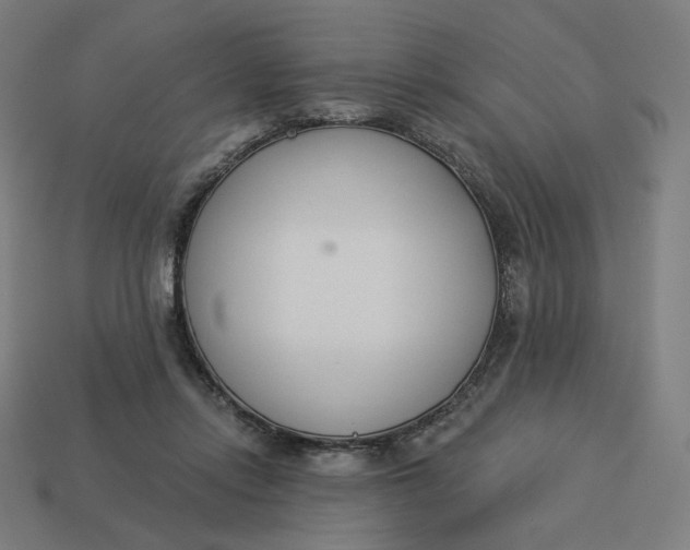 X0000113360358200910061045