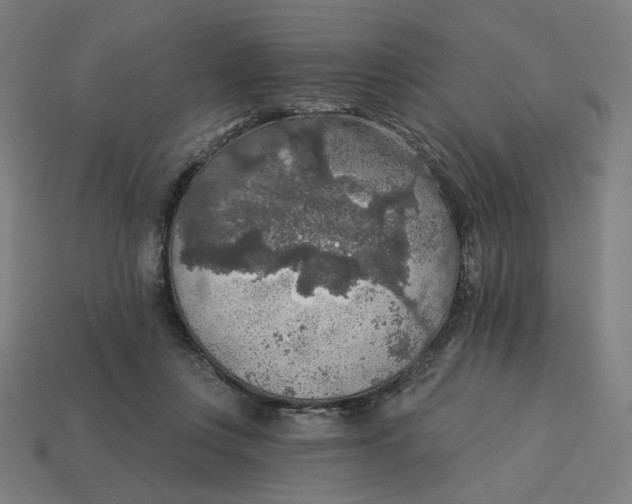 X0000113360359200910061045