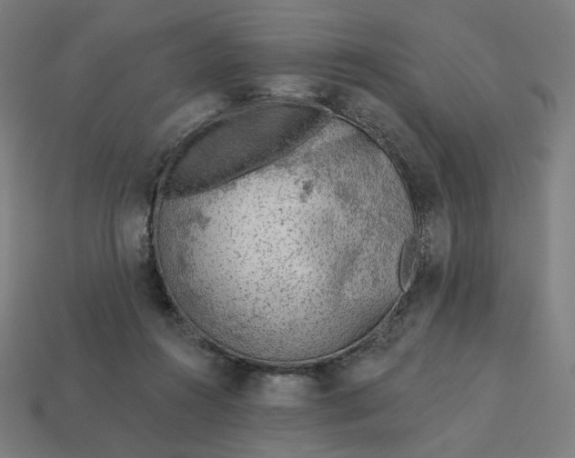 X0000113360360200910061045