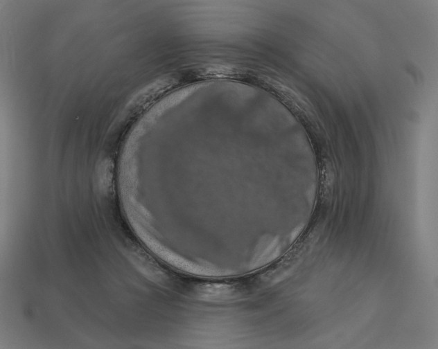 X0000113360361200910061045