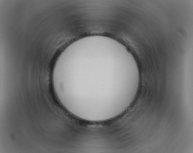 X0000113360362200910061045