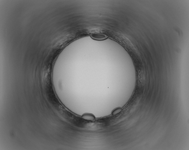 X0000113360364200910061045