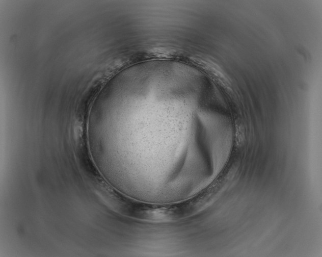 X0000113360365200910061045