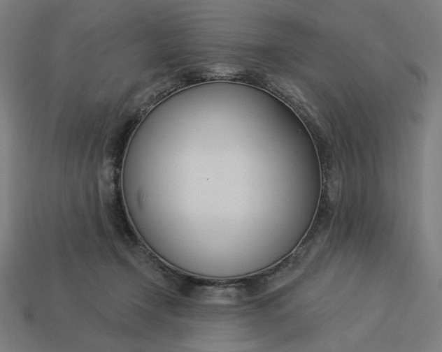 X0000113360366200910061045