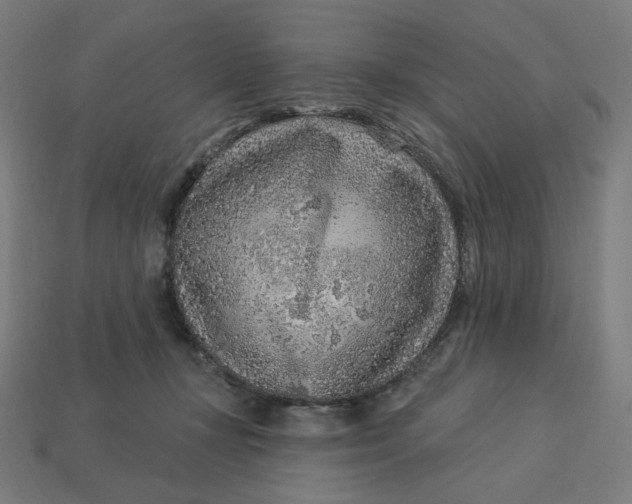 X0000113360367200910061045