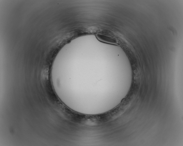 X0000113360368200910061045