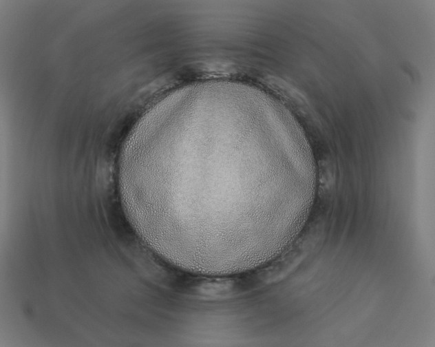 X0000113360369200910061045