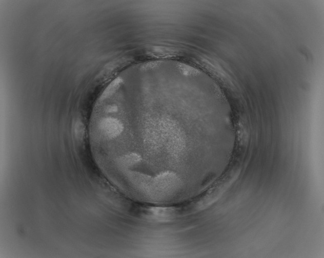 X0000113360371200910061045