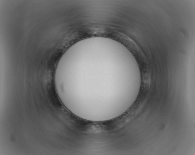 X0000113360372200910061045