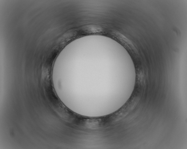 X0000113360373200910061045