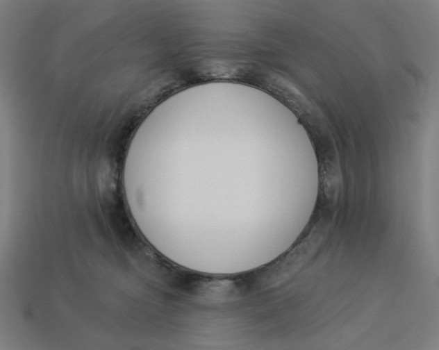 X0000113360374200910061045